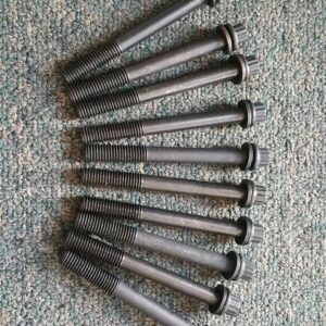 Head Bolts Set of 10 (AM13)